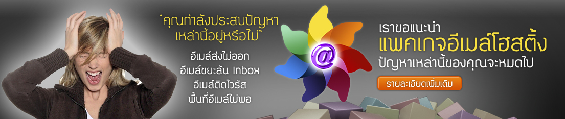 ����ͧ Server �������ԡ�� Hosting �ͧ��� �������ՁEIDC �Ҥ�� �ʷ. �ҧ�ѡ